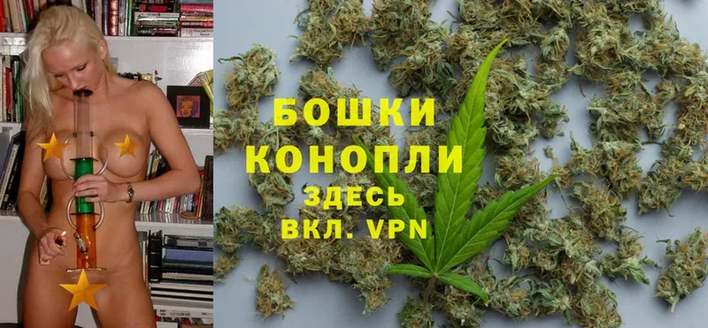 Канабис Bruce Banner  Кондрово 